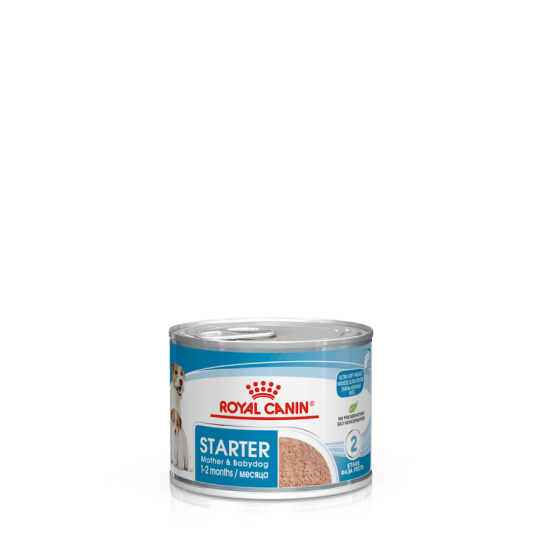 Royal Canin Starter Mother & Babydog – Hrană Umedă pentru Cățele Gestante, Lactante și Pui (de la Înțărcare până la 2 luni) – 195 g